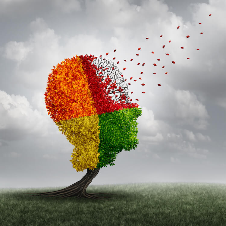 End-Stage Dementia: When To Seek Hospice Care