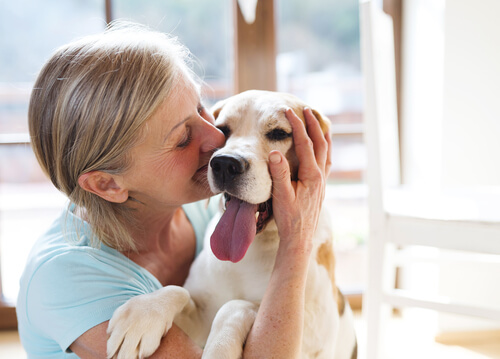 Do Therapy Dogs Help Alzheimer’s Dementia Patients?