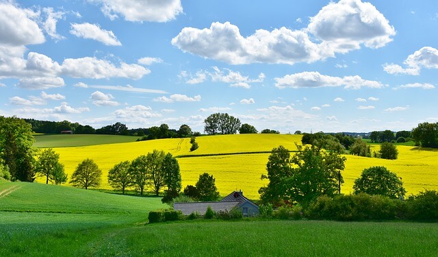 People In Rural Areas Are Happier Than People In Cities, Canadian Study Finds