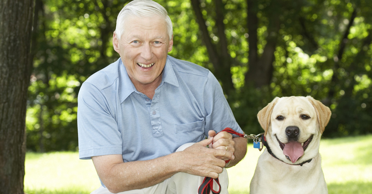 Do Pets Increase Fall Risk For The Elderly?